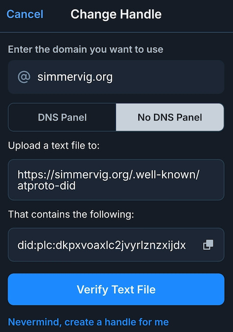 Screenshot of the Bluesky settings with the No DNS Panel tab selected
